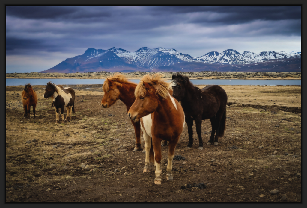 Main image Wild Spirits — Iceland