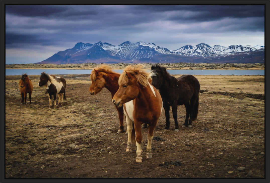 Main image Wild Spirits — Iceland