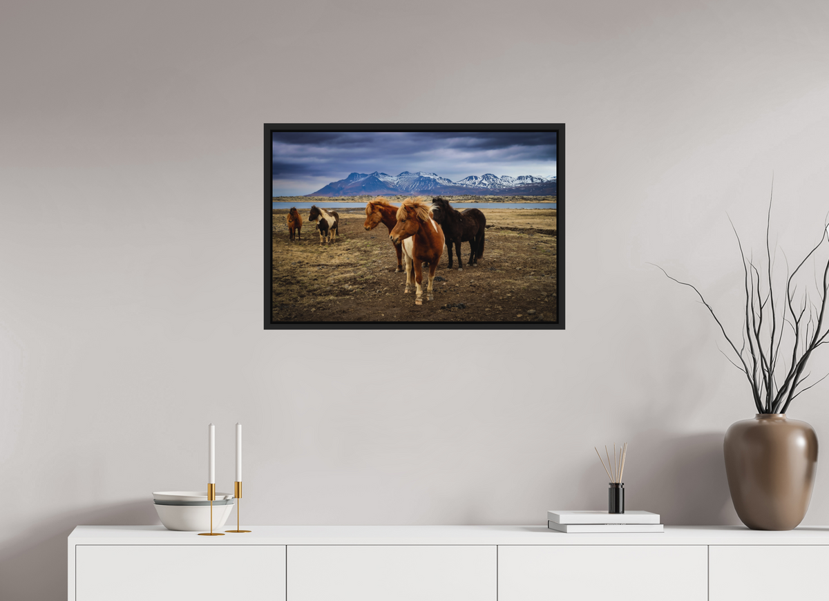75 x 50 cm, Caisse américaine alu dibond Wild Spirits — Iceland