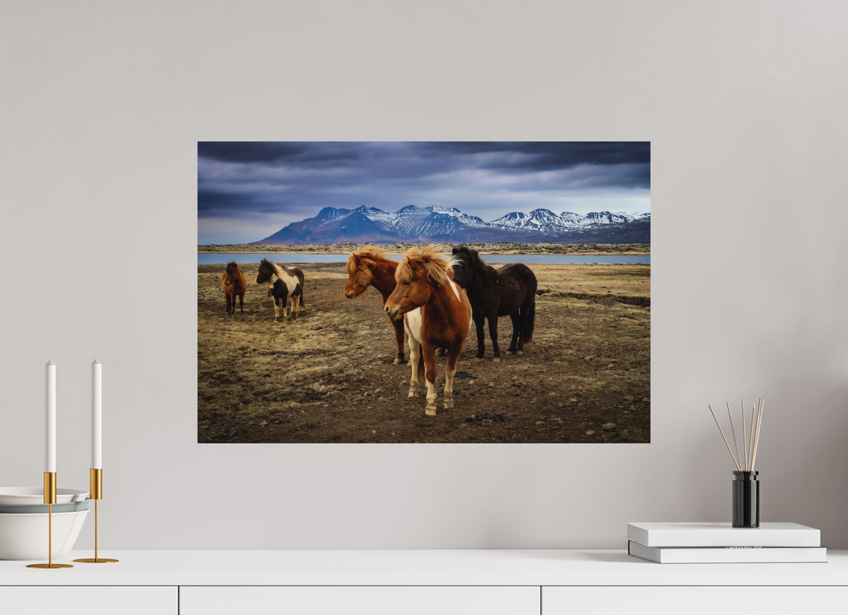 60 x 40 cm, Tirage Alu dibond Wild Spirits — Iceland